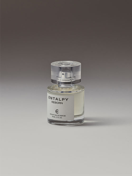 갤러리에서 이미지 1 불러오기. 오 드 퍼퓸 리본 50ML