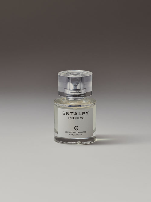 갤러리에서 이미지 1 불러오기. 오 드 퍼퓸 리본 50ML
